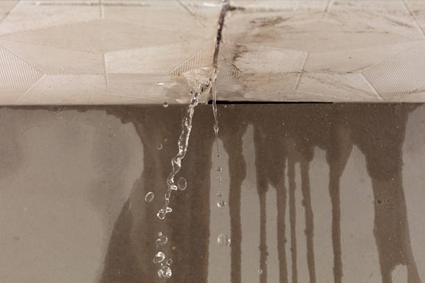 Professional Burst Pipe Cleanup technician working in Hilltop, MN